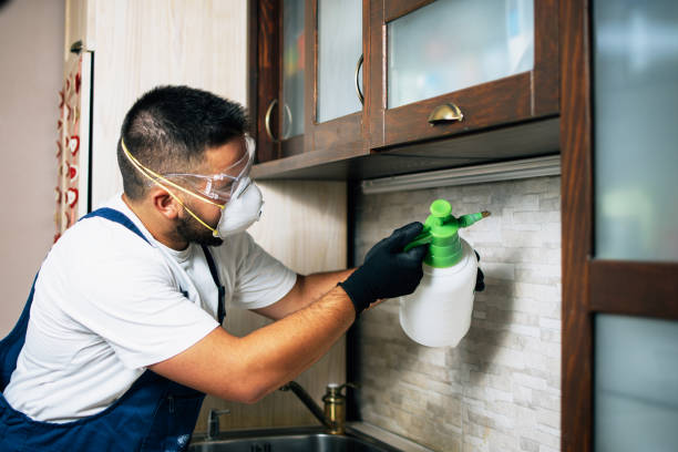 Best Pest Control Treatment  in Moreland Hills, OH