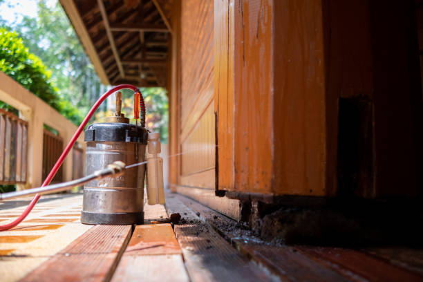 Best Ant Control Services  in Moreland Hills, OH