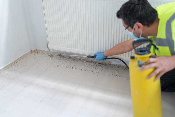 Best Pest Inspection Near Me  in Moreland Hills, OH