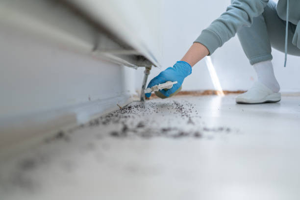 Best Cockroach Control Services  in Moreland Hills, OH
