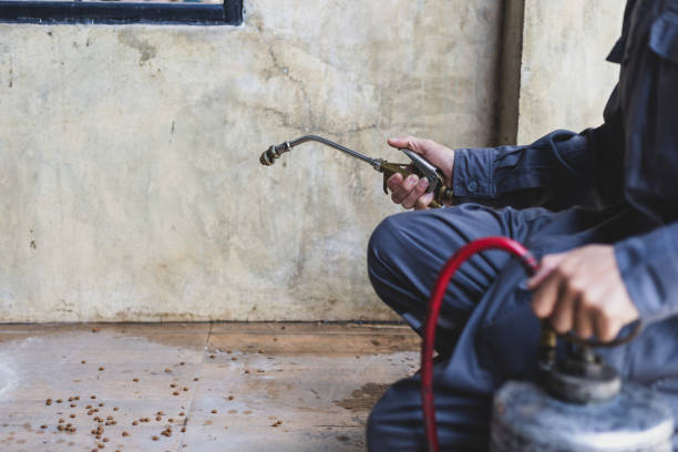 Best Pest Control Near Me  in Moreland Hills, OH